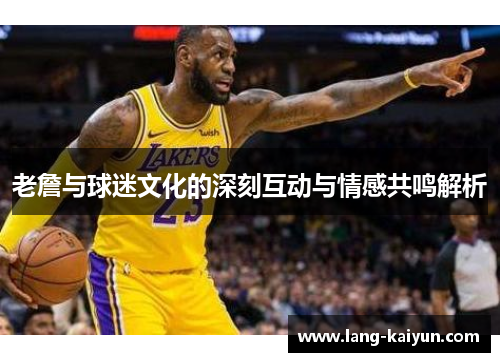 老詹与球迷文化的深刻互动与情感共鸣解析