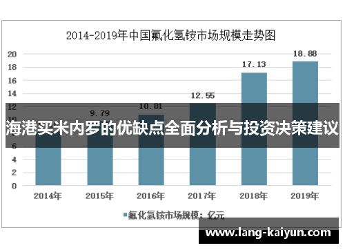 海港买米内罗的优缺点全面分析与投资决策建议